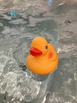 Happy Hot Tubs Large 200g Floating Duck Dispenser -HAPPY HOT TUBS Shop large duck dispenser 4